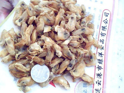 【新品促銷淡干海產(chǎn)海蠣干--優(yōu)質(zhì)無沙250克14元有QS認(rèn)證,質(zhì)量保證】?jī)r(jià)格,廠家,圖片,干制水產(chǎn)品,連云港市綠洋食品-