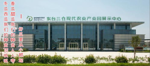 東臺(tái)市金豐園瓜果蔬菜專業(yè)合作社