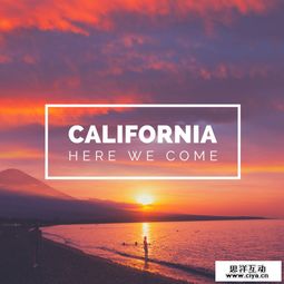 社交論壇廣告設(shè)計如何脫穎而出 創(chuàng)意與用戶體驗的雙重奏