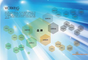 沈陽品牌設(shè)計策劃全鏈條服務(wù) 從VI、畫冊到店面裝修與互聯(lián)網(wǎng)營銷的整合方案