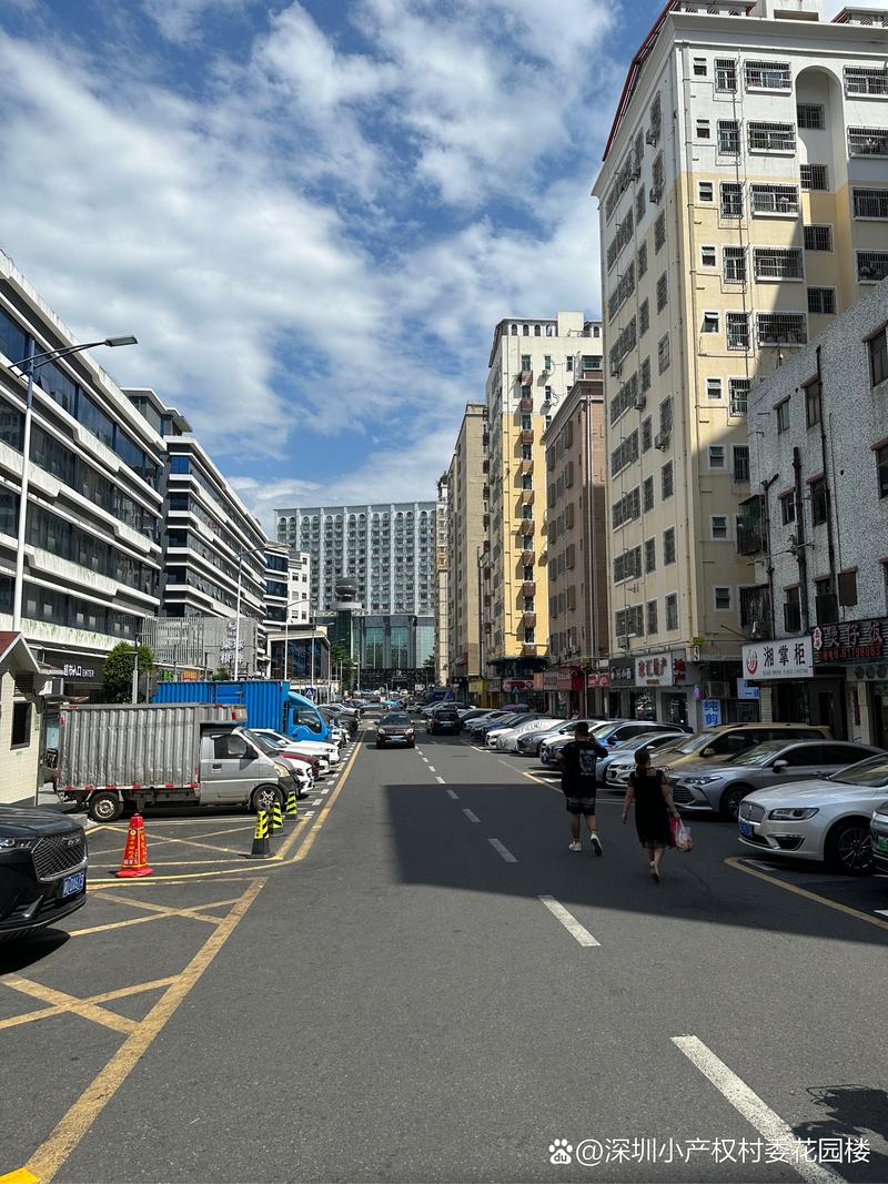 深圳城中村房東的“服務盲區”，真的比商品房房東還牛嗎？